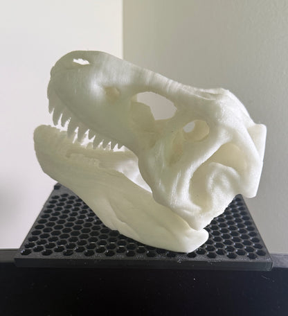 Monitor display shelf